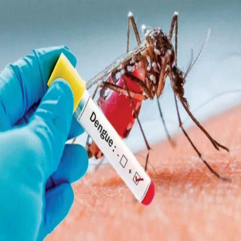 rainy-weather-increases-the-risk-of-spreading-dengue