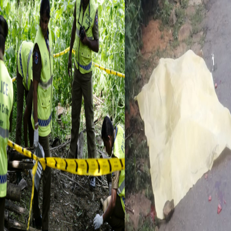 mannar-double-murder:-hidden-criminals-in-the-jungle!-outgoing-background