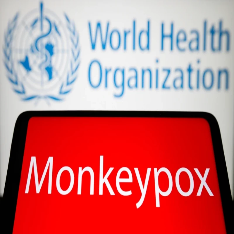 monkey-measles-has-been-declared-an-international-public-health-emergency
