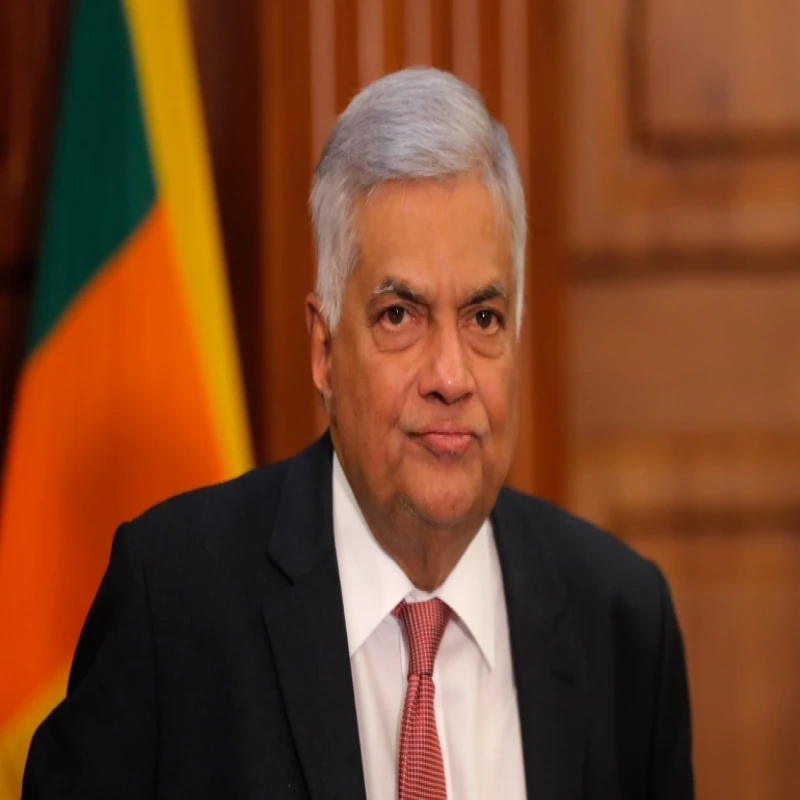 ranil-is-the-right-person-to-lead-the-country---podujana-peramuna-supports-ranil