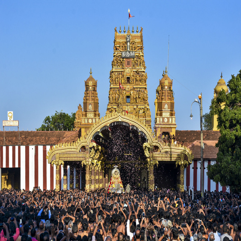 fake-news-regard-nallur-kovil-festival