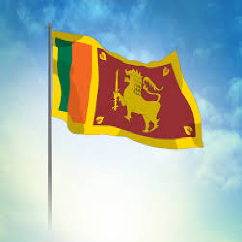 the-sri-lankan-government-has-accused-the-previous-government-of-playing-tricks-on-the-international-community