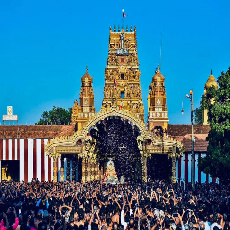 nallur-makotsavam-was-held-today-in-the-presence-of-tens-of-thousands-of-devotees