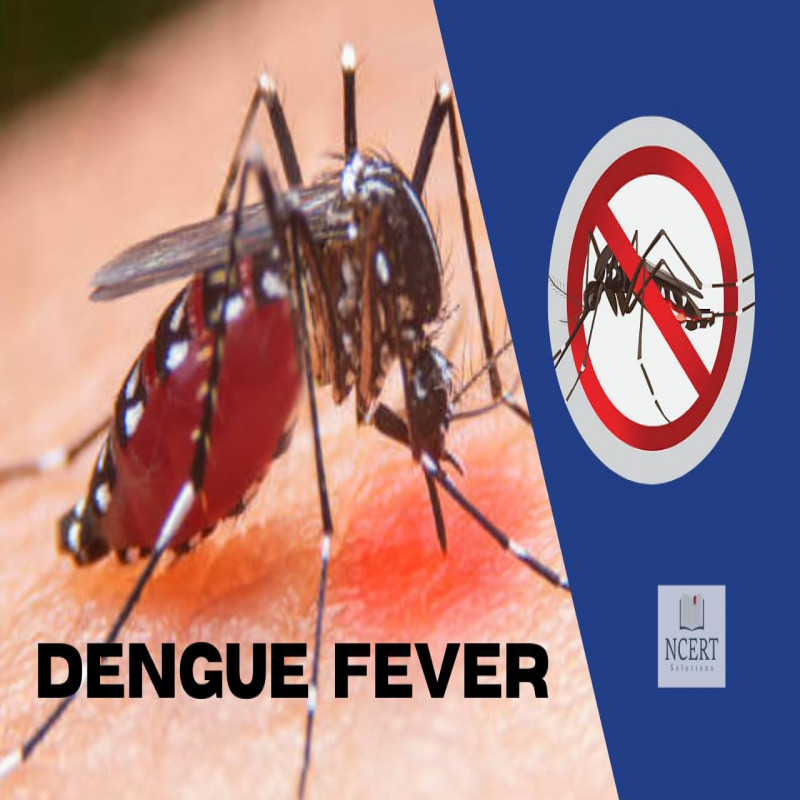 dengue-will-increase-in-the-western-province