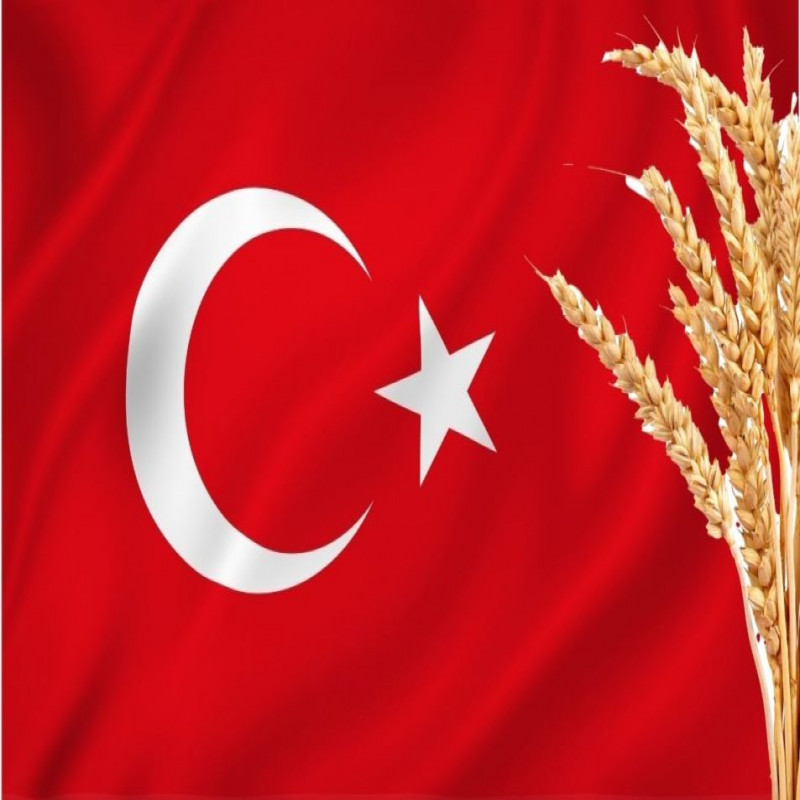 the-price-of-import-wheat-flour-from-turkey-may-decrease