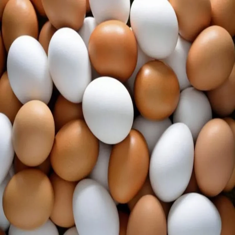 there-is-no-change-in-the-control-price-for-the-sale-of-eggs