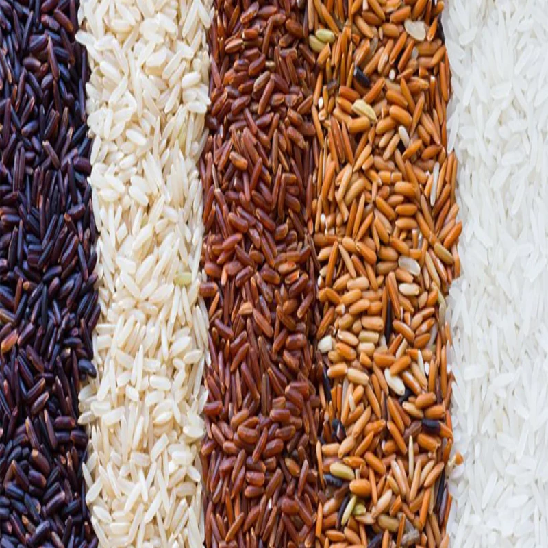 imported-poisoned-rice-to-sri-lanka