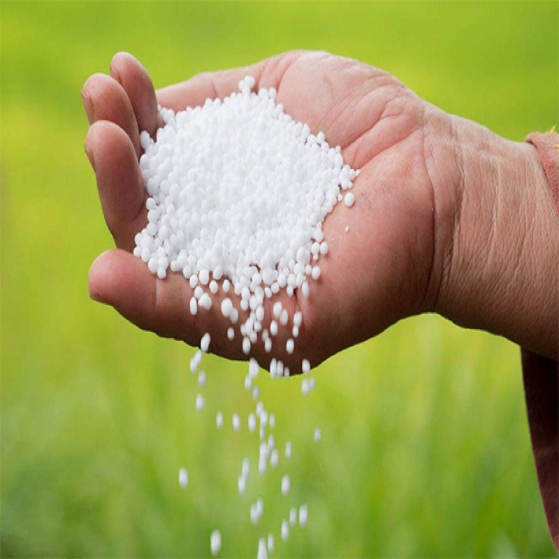 urea-supply-to-farmers-starts-today
