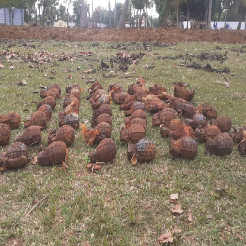 111-hand-grenades-were-recovered-by-special-action-forces..!-incident-in-jaffna