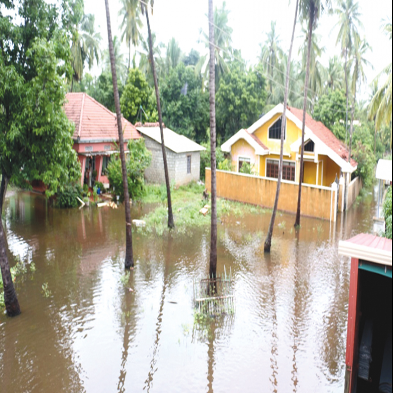 11-families-affected-by-continuous-rain-in-jaffna