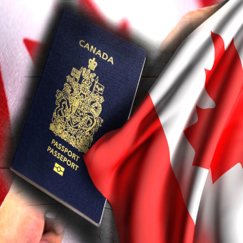 canada-to-open-work-permit-from-next-year---employment-for-family-members-too
