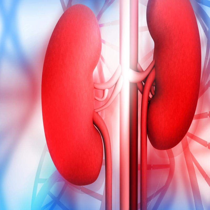 kidney-patients-who-struggle-between-life-and-death