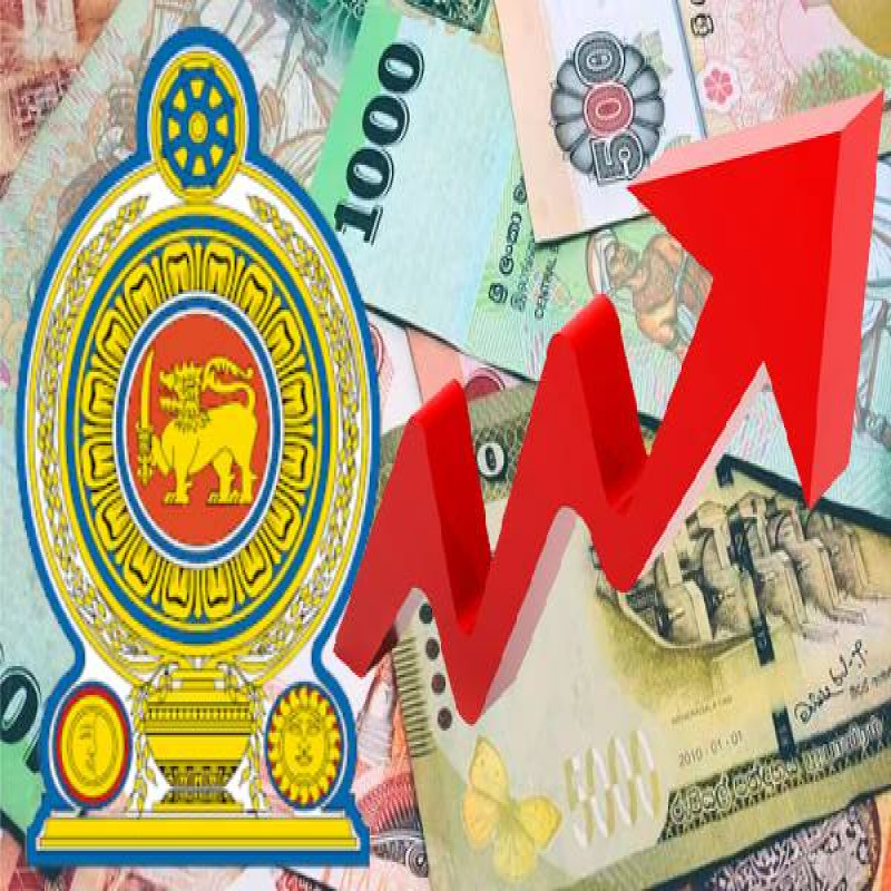 sri-lanka's-government-revenue-increases-rapidly---central-bank-of-sri-lanka!