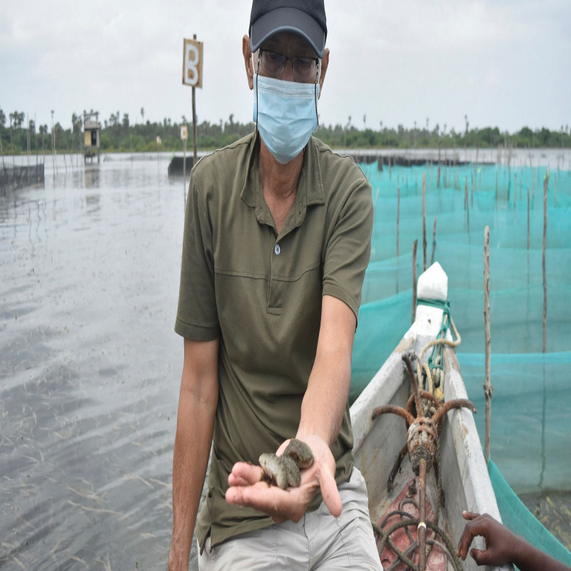 china-farm-in-jaffna