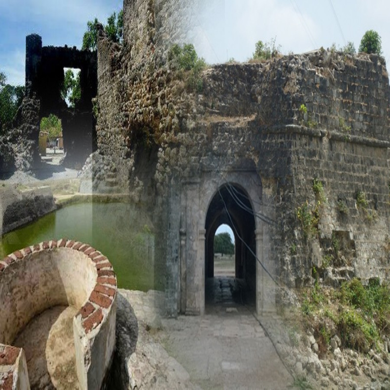 fort-vediyarasan-affair-–-unsupported-occupation-by-douglas;-vindan-public!-|
