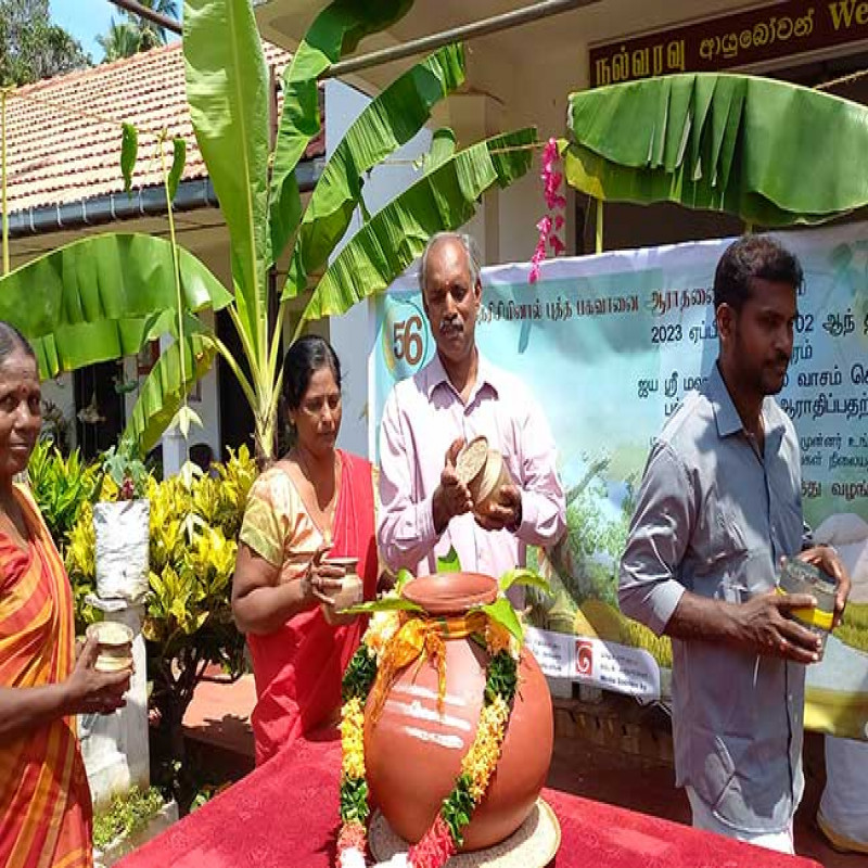 taking-rice-to-anuradhapura-buddha-in-jaffna