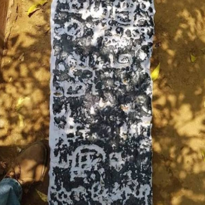 a-rare-tamil-inscription-found-in-yali..!