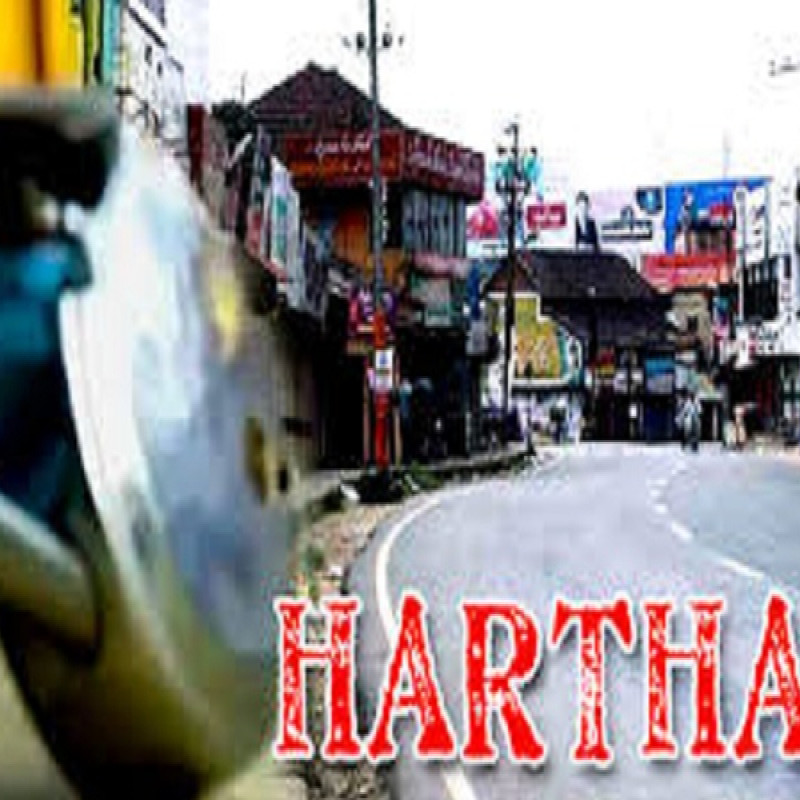 north-harthal