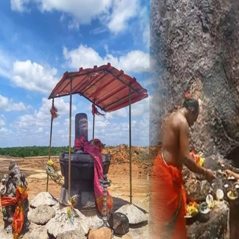 busted-vedukunarimalai-adilingeswarar-temple-idols:-consecration-poojas-begin