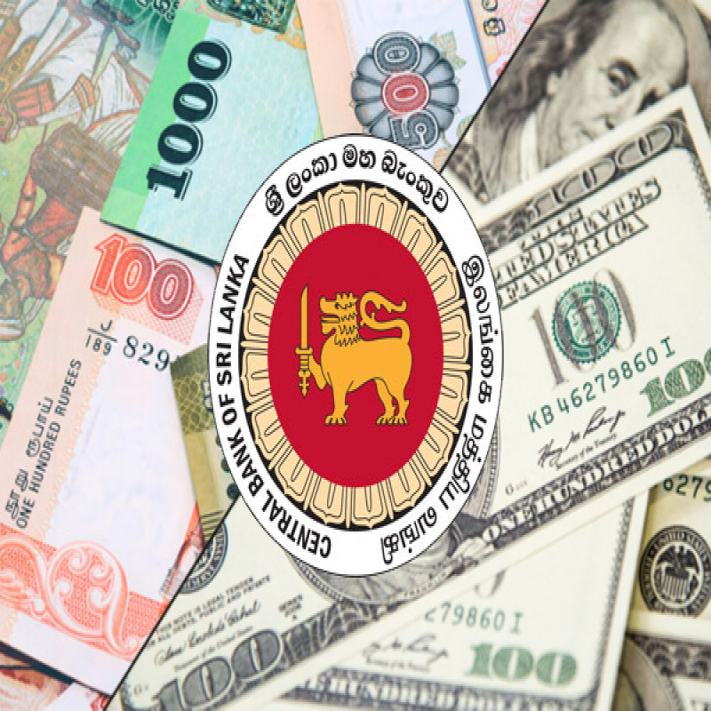 dollar-rate-in-sri-lanka-decrees