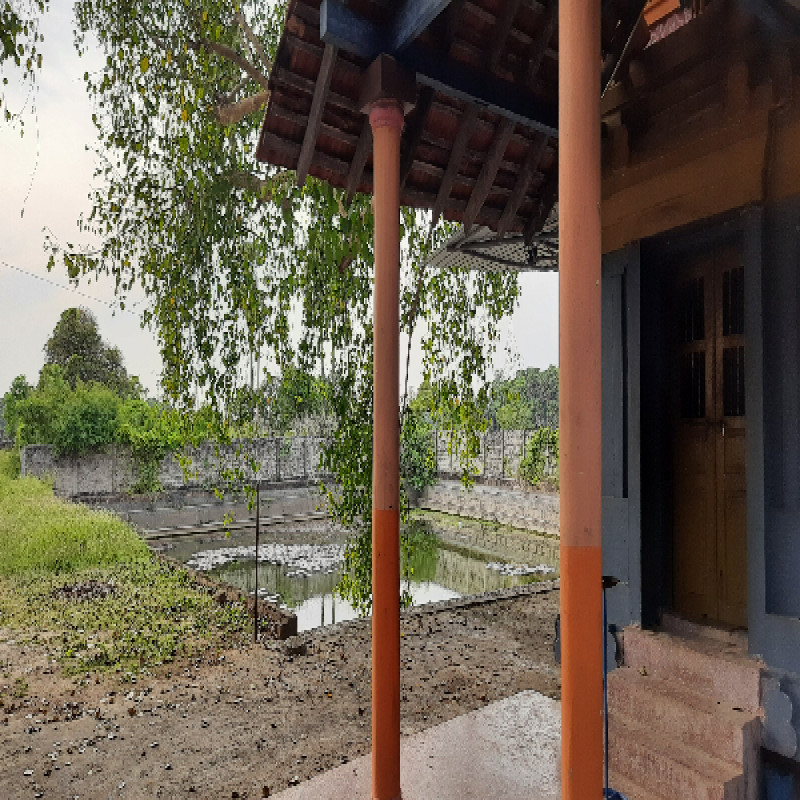 paralai-murugan-temple-becoming-buddhist-vihara