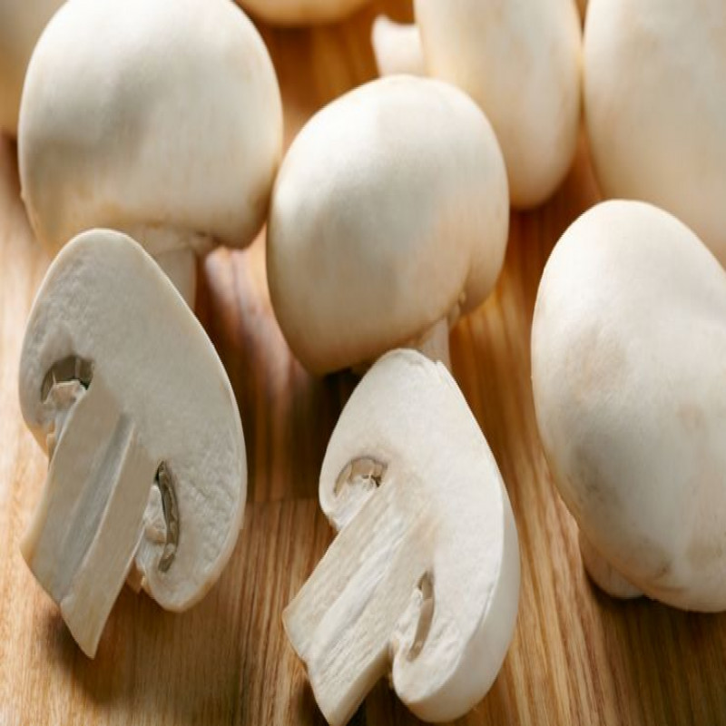 3-members-of-the-same-family-died-after-eating-mushrooms...---shocking-incident...