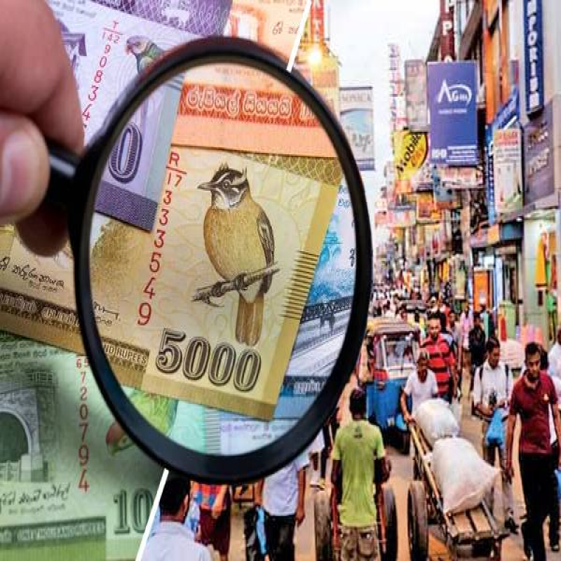 central-bank-of-sri-lanka-destroyed-currency-notes
