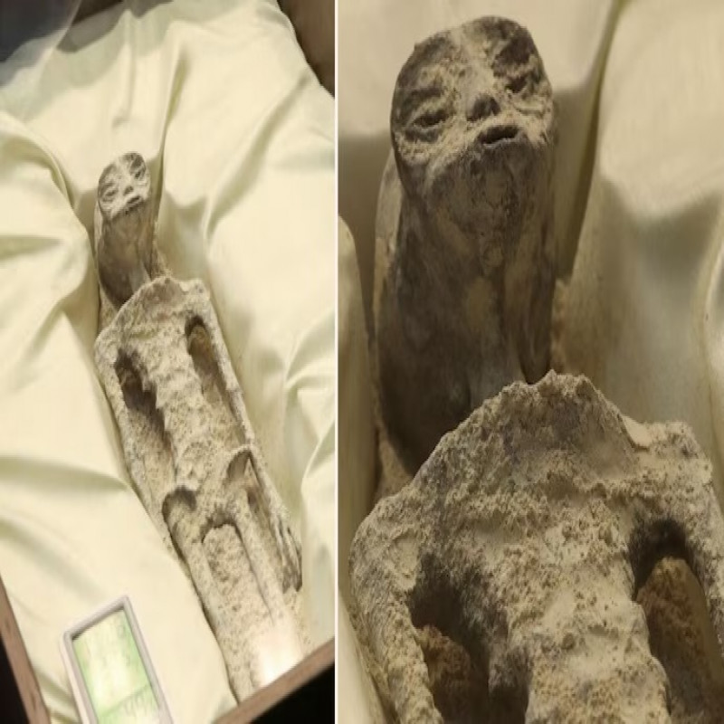 1000-years-old-fossils-of-alien-corpses-displayed
