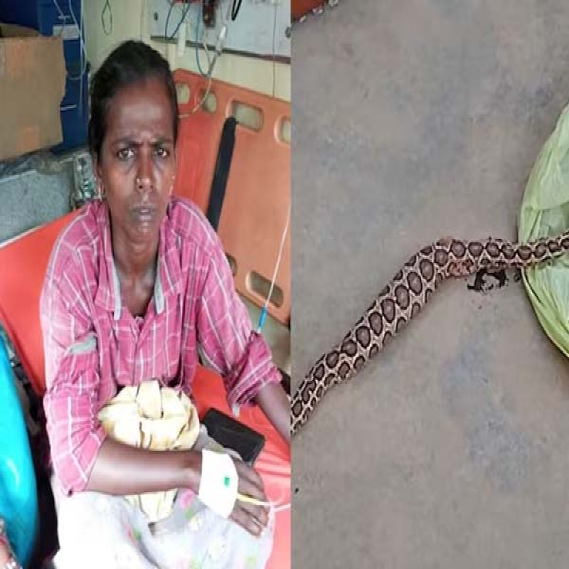 woman-come-hospital-with-rattlesnake