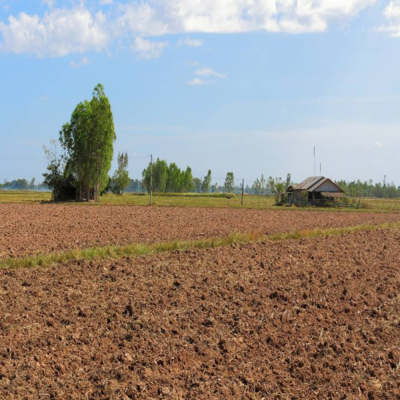 agricultural-lands-given-back-farmers-ranil-budjet