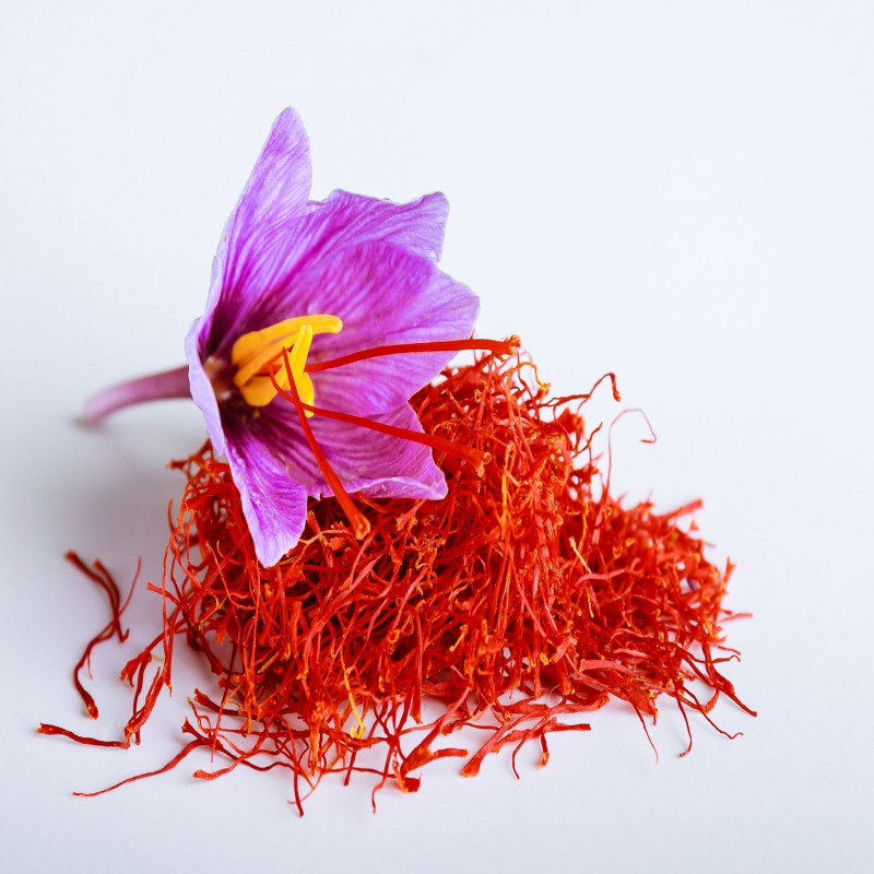 world-most-expensive-plant-saffron