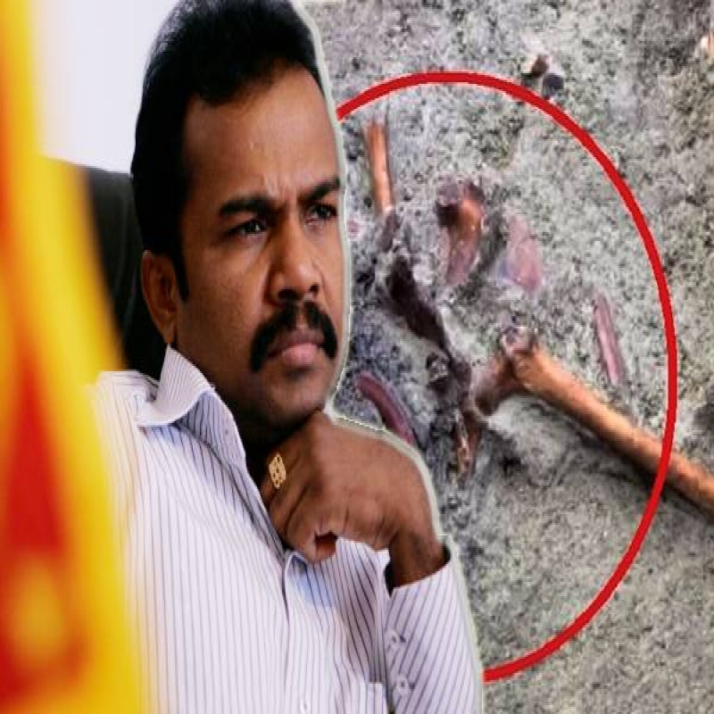 tamil-mp-secret-talks-with-sinhalese-leaders:-exposing-karuna