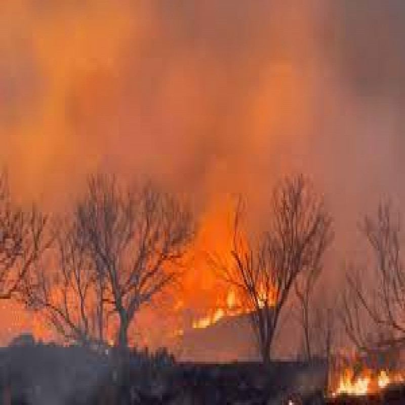 massive-forest-fire-in-texas,-usa