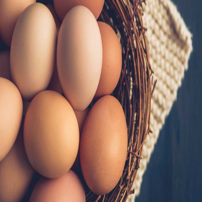 we-will-import-40-million-eggs:-warning-issued