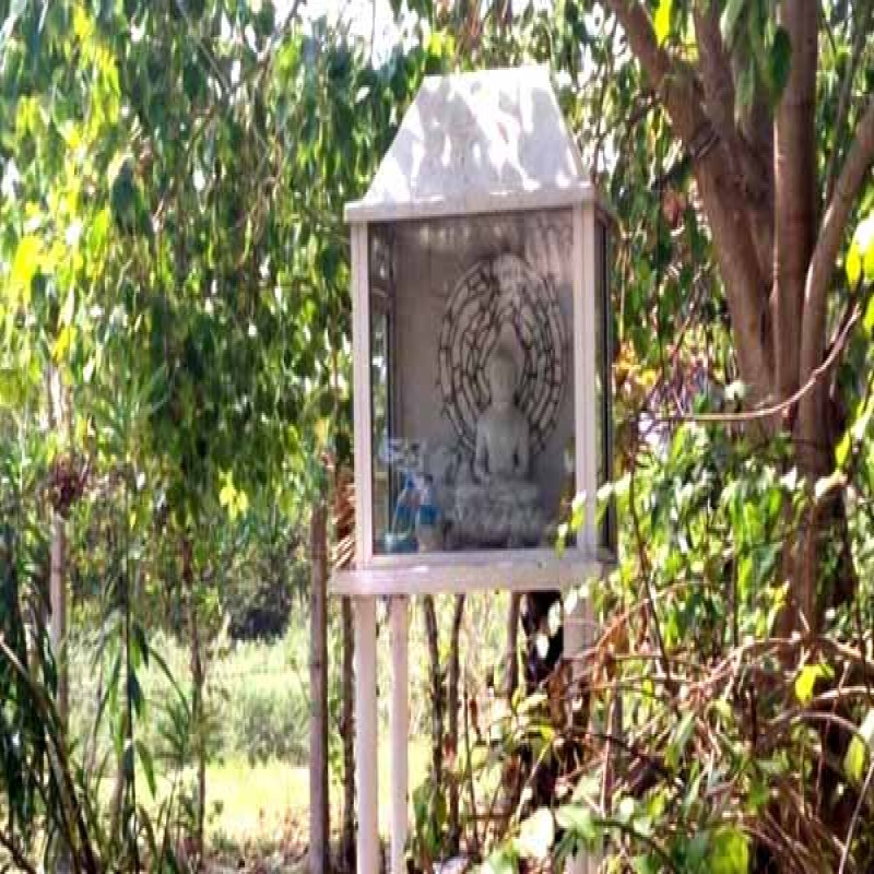 suddenly-new-buddhist-temples-jaffna