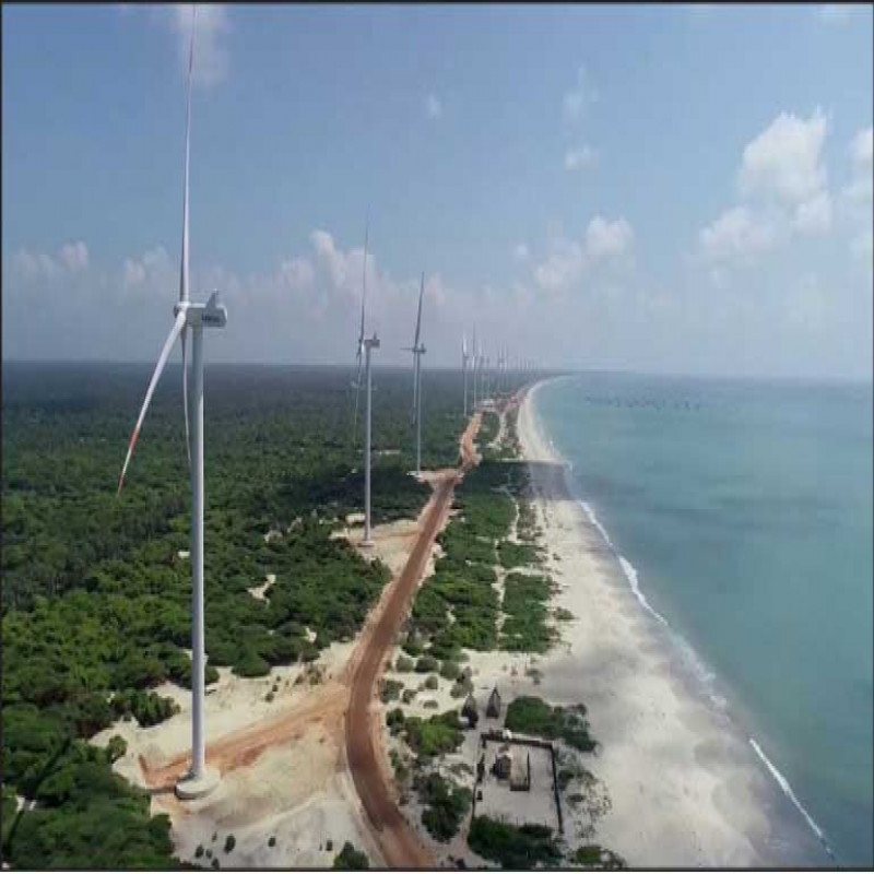 warning-that-mannar-island-wind-power-plant-may-cause-environmental-disaster