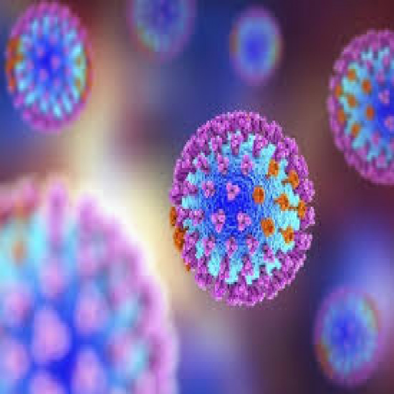 a-disease-that-is-spreading-rapidly-in-the-country!-65-danger-areas-identified,-two-people-died..!