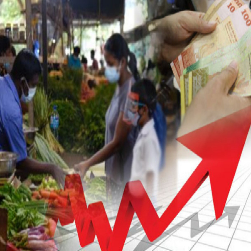 monthly-consumption-of-a-family-rs-103-283