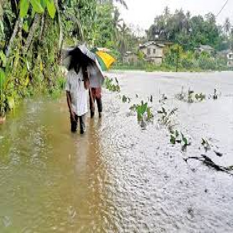 two-dead-due-to-inclement-weather-:-67865-affected,-20-trees-fell-in-colombo