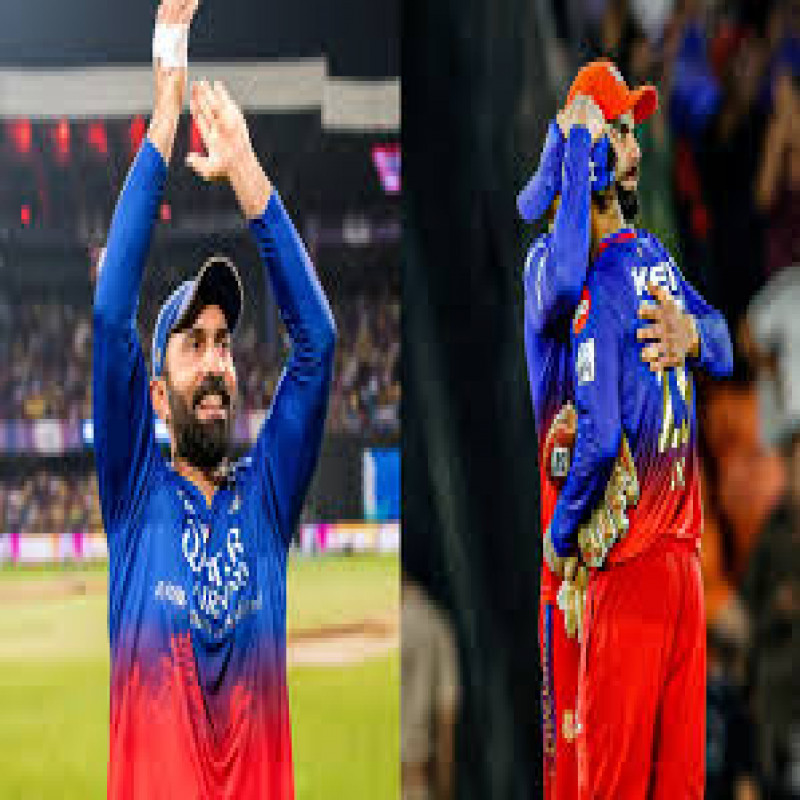 royal-challengers-bangalore-team-is-out!---dinesh-karthik-retired!