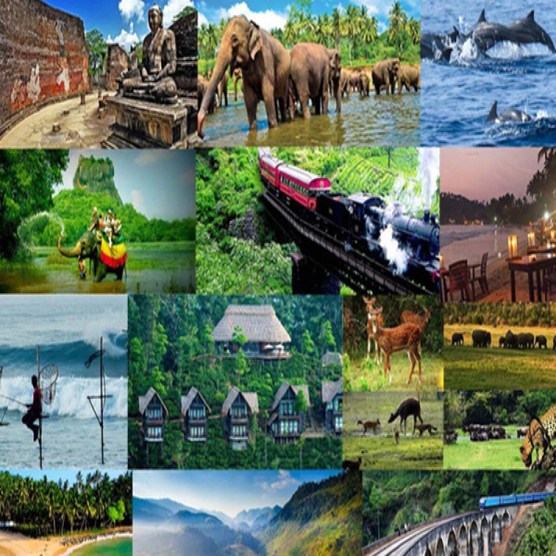 96-890-tourists-visited-sri-lanka-in-26-days