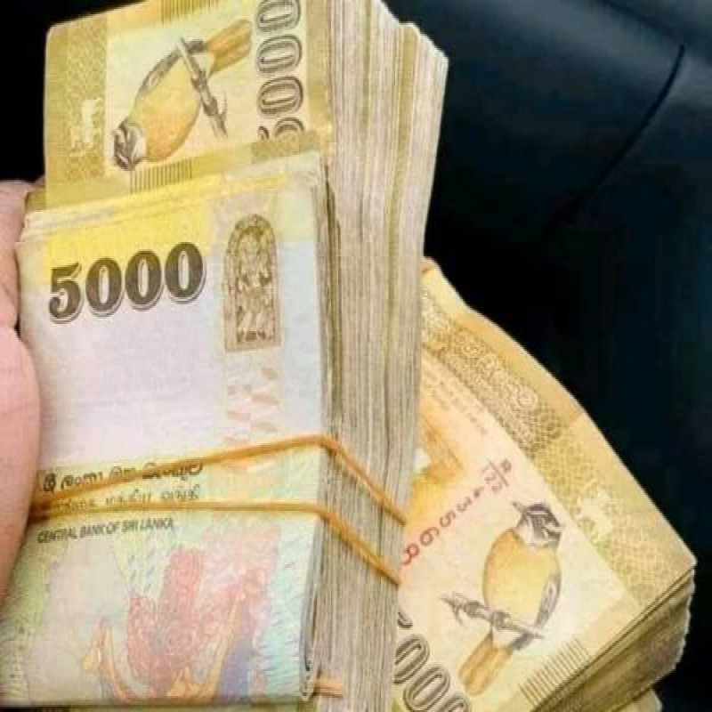 5000-dollar-cash-reward-for-help-the-english-girl