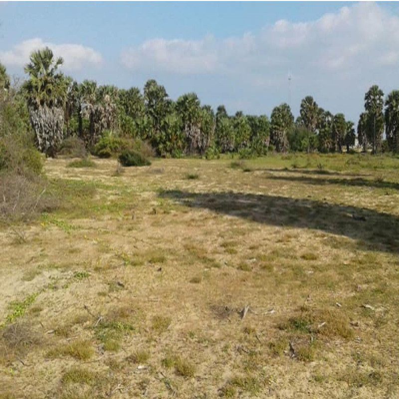 land-grabs-in-mullaitivu-tamil-displacement
