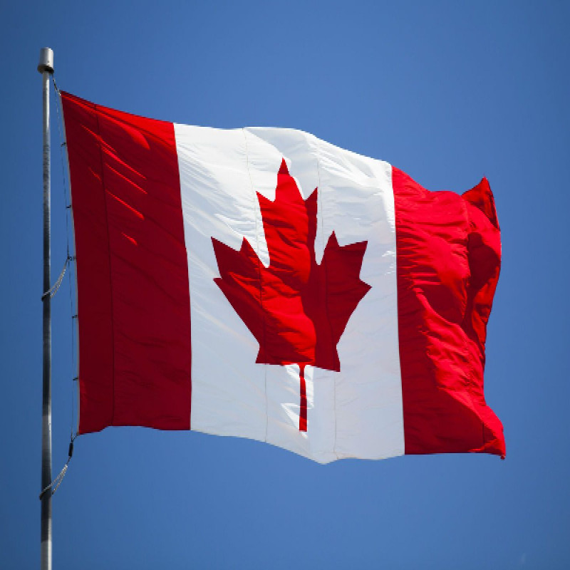 national-program-to-prevent-car-theft-in-canada