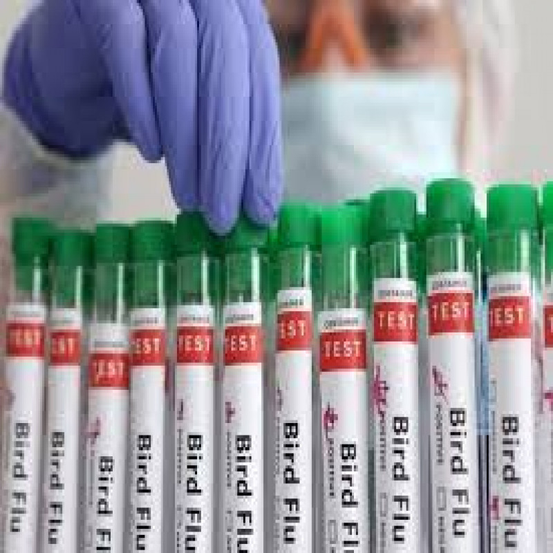 a-virus-40-times-more-dangerous-than-the-corona-virus:-the-countries-of-the-world-are-in-fear