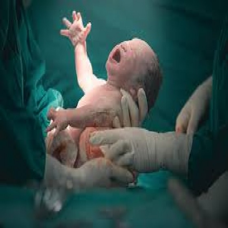 birth-rates-are-dropping-rapidly
