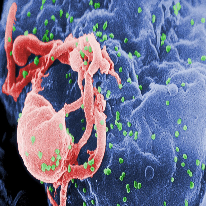 suspect-caught-with-ice-gets-aids