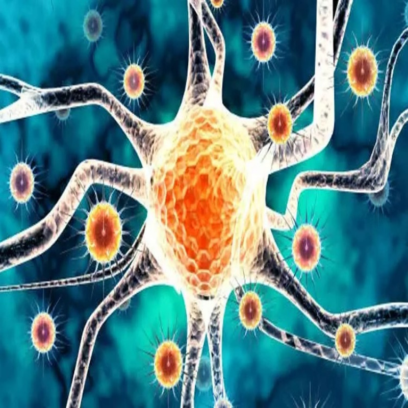 nipah-virus-threatens-kerala:-state-of-emergency-declared