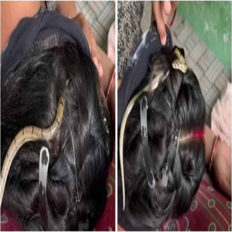 snake-crawled-in-hair---viral-video