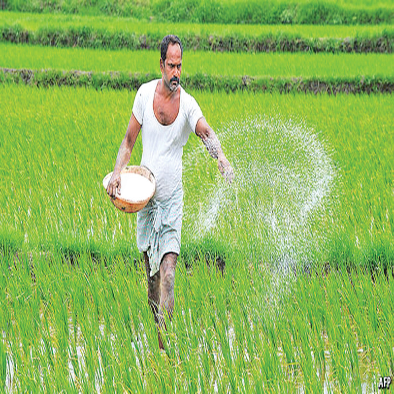 1-lakh-compensation-to-farmers-for-damaged-crops